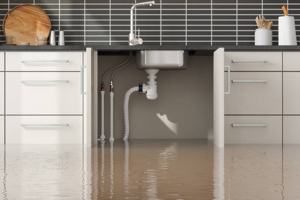 Best Mold removal after water damage  in Tonkawa, OK