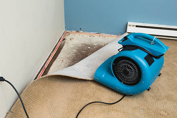 Best Fire Damage Restoration  in Tonkawa, OK